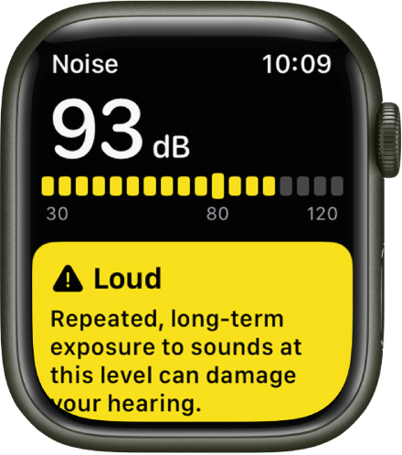 Noise App notification on Apple Watch.